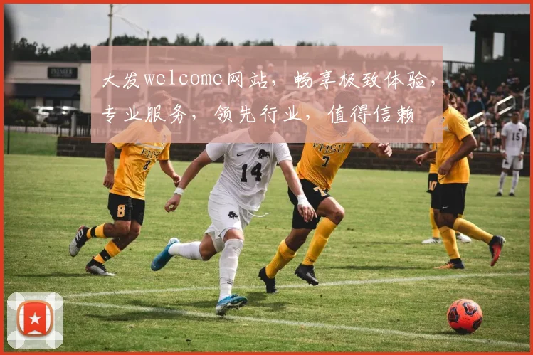 大发welcome网站，畅享极致体验，专业服务，领先行业，值得信赖