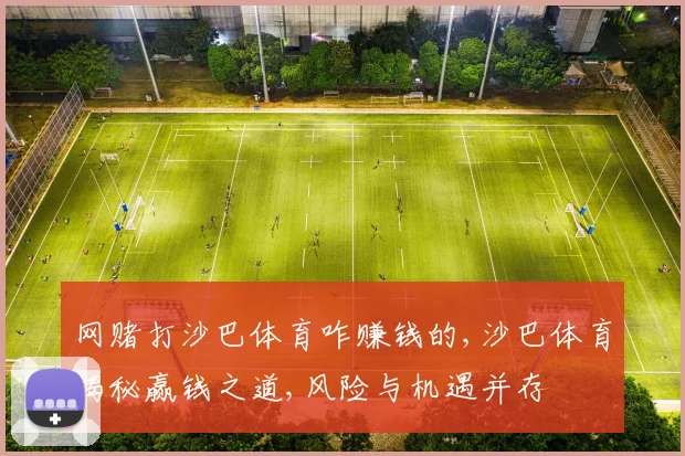 网赌打沙巴体育咋赚钱的,沙巴体育揭秘赢钱之道,风险与机遇并存