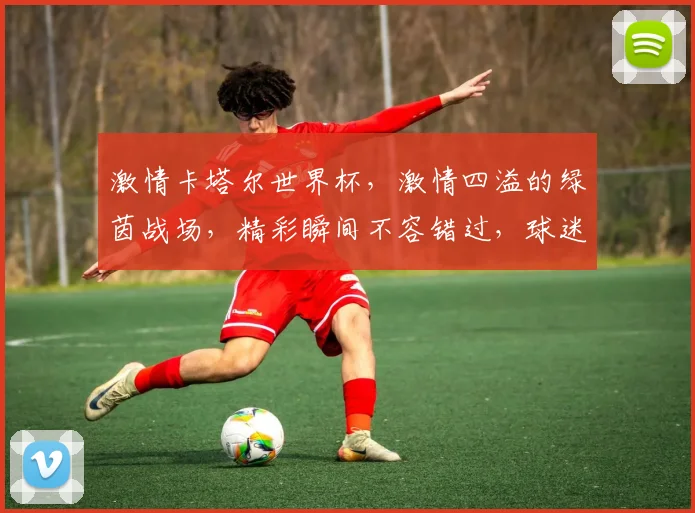激情卡塔尔世界杯，激情四溢的绿茵战场，精彩瞬间不容错过，球迷狂欢盛宴